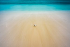 The waves wash back over a shell stuck in the sand.