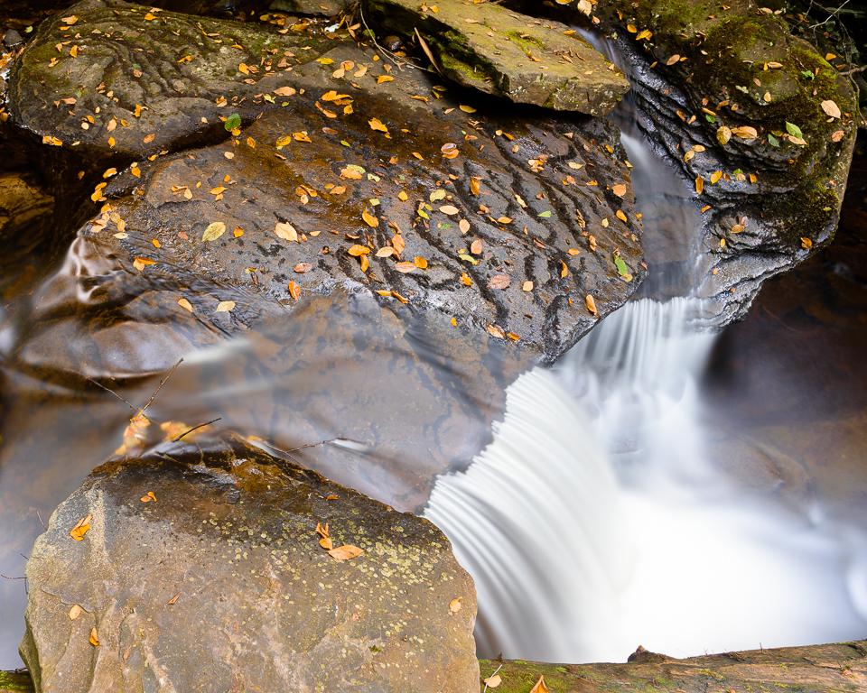 Water rushes over fallen leaves and off a rock.