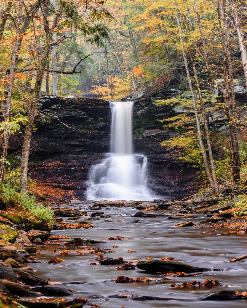 A waterfall surrounded by late autumn leaves.