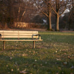 Color photo of a wooden bench in a park one afternoon.