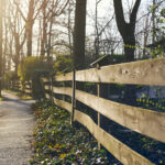 Color photo of a fence and pathway on morning.