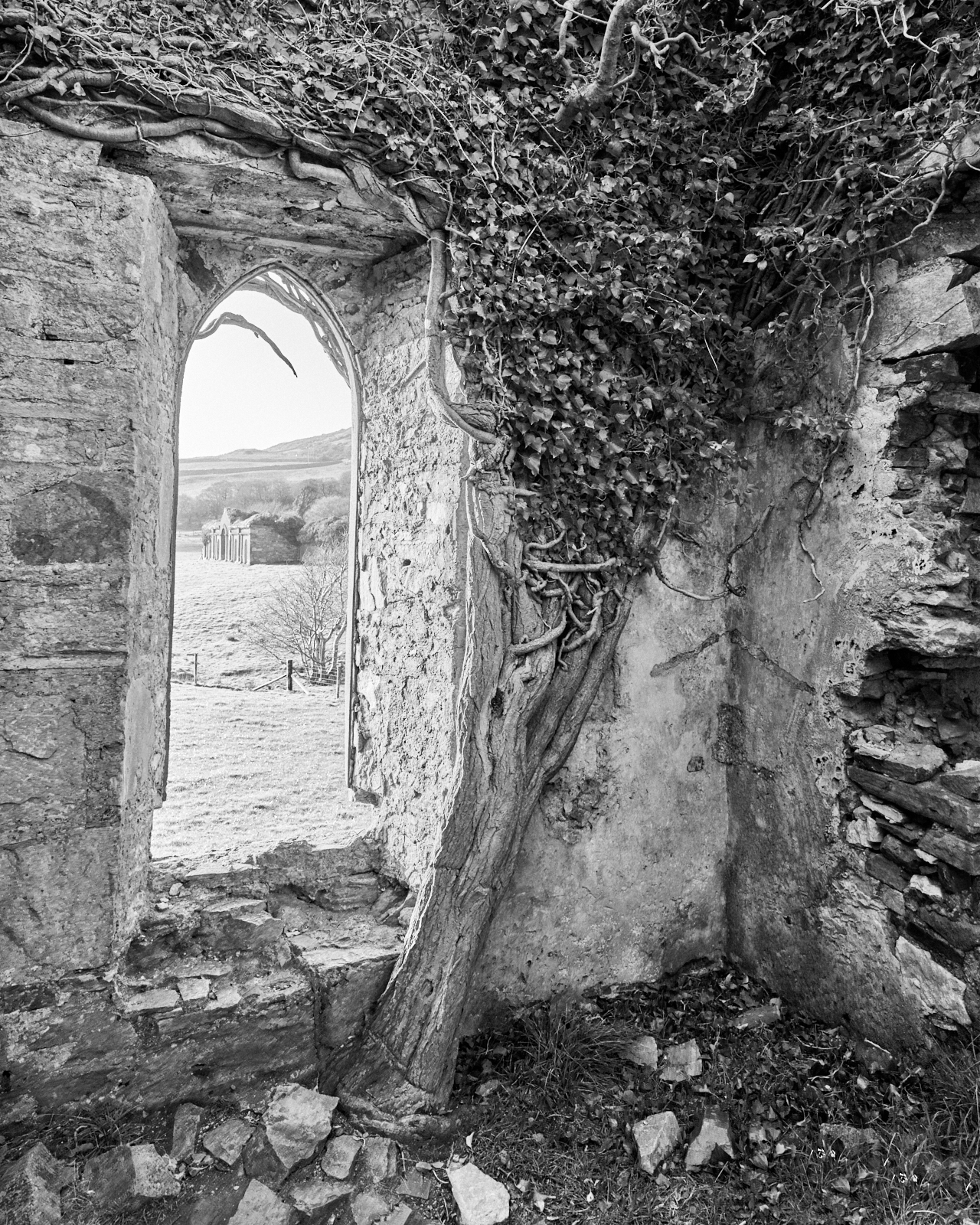 Urban #220329.2. Black and white photo of the back of Clifden Castle.