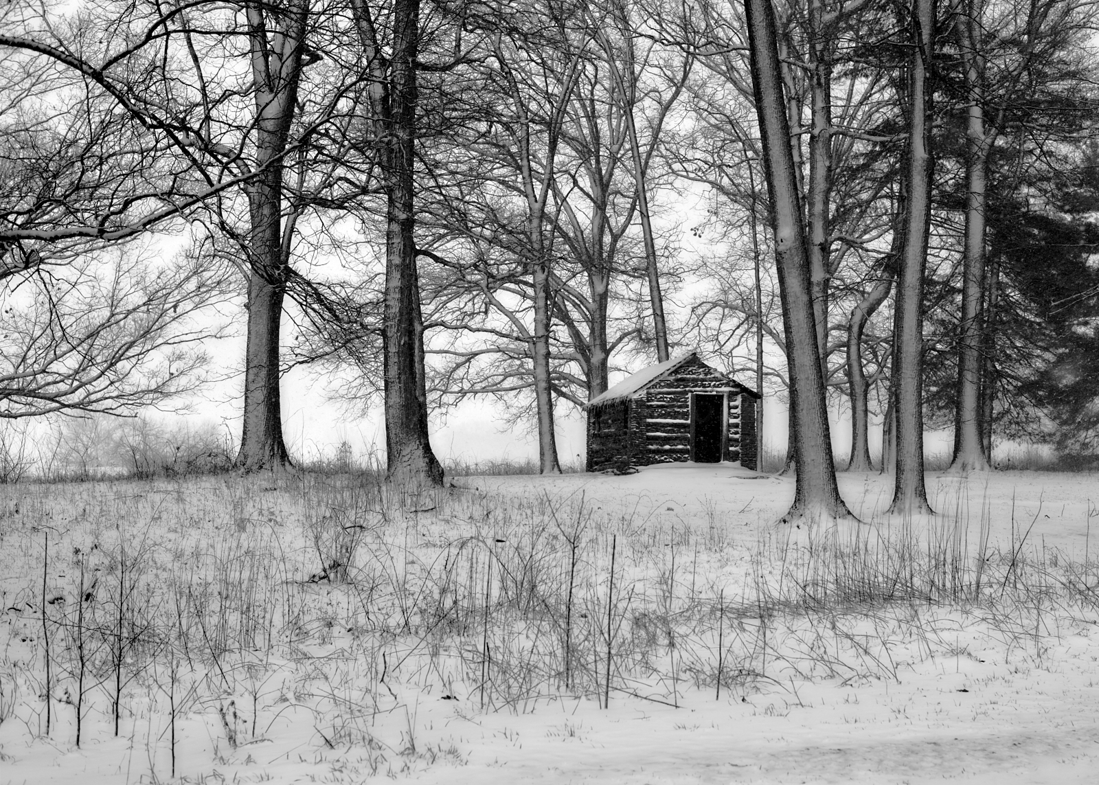 Landscape #220312 is a black and white photograph of a cabin at Valley Forge National Historic Park.