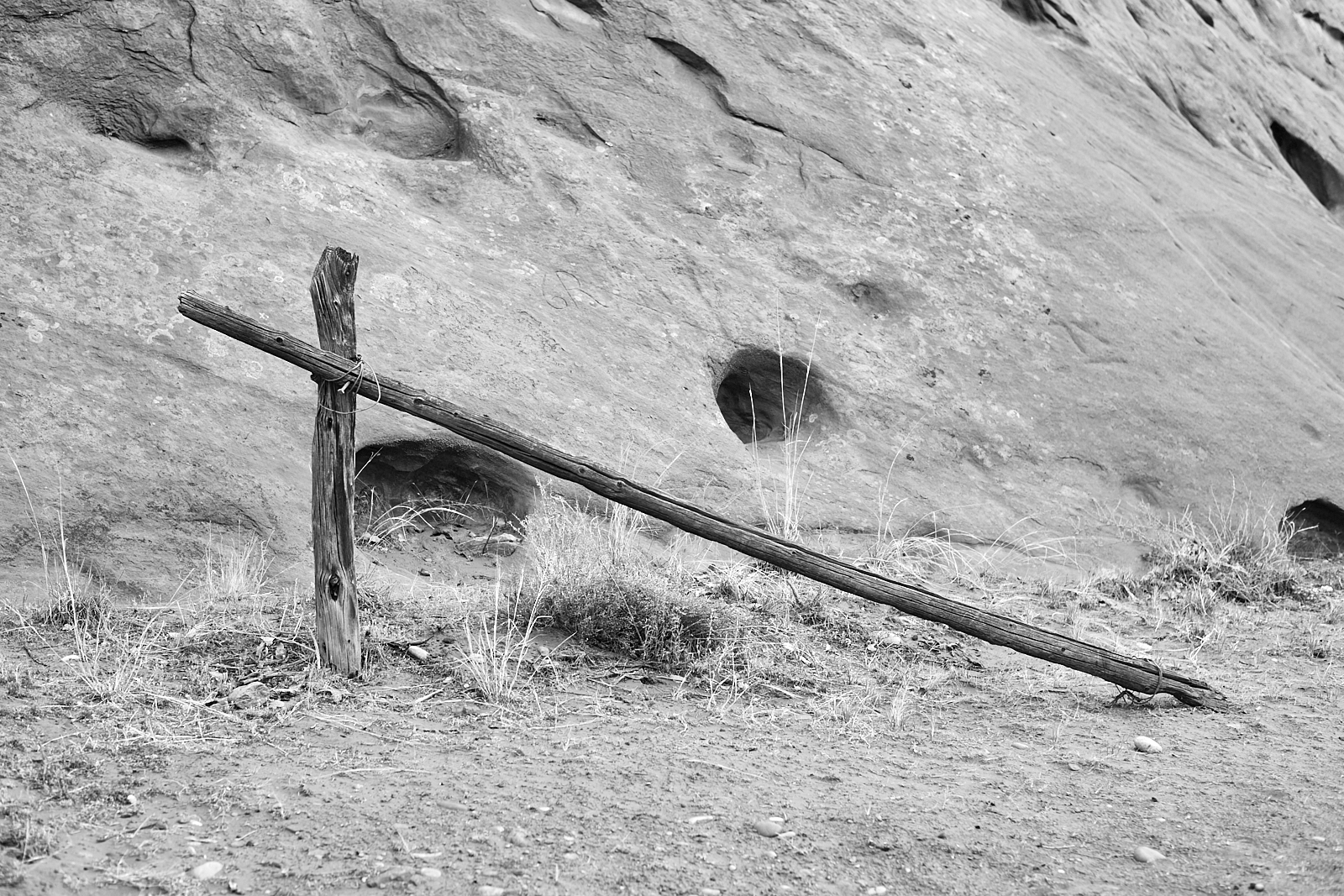 Landscape #220513. A black and white photograph of old corral posts and fewer weeds.