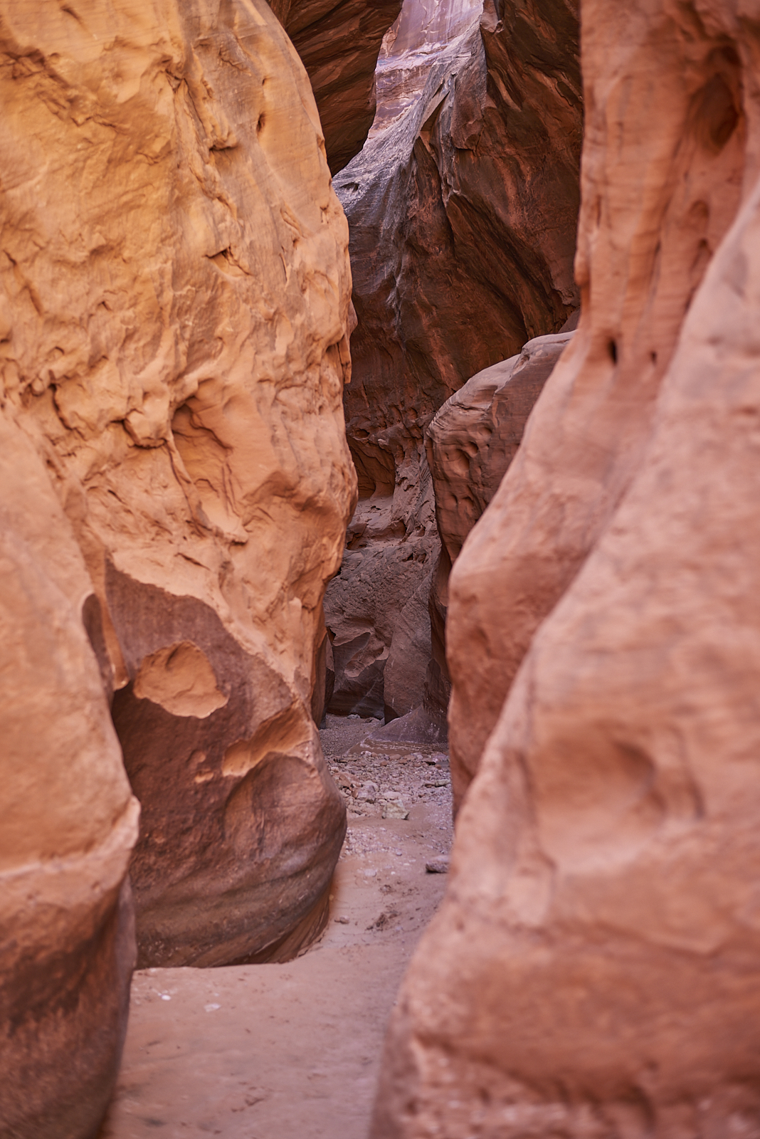 Landscape #220512. A color photograph of a narrow canyon.