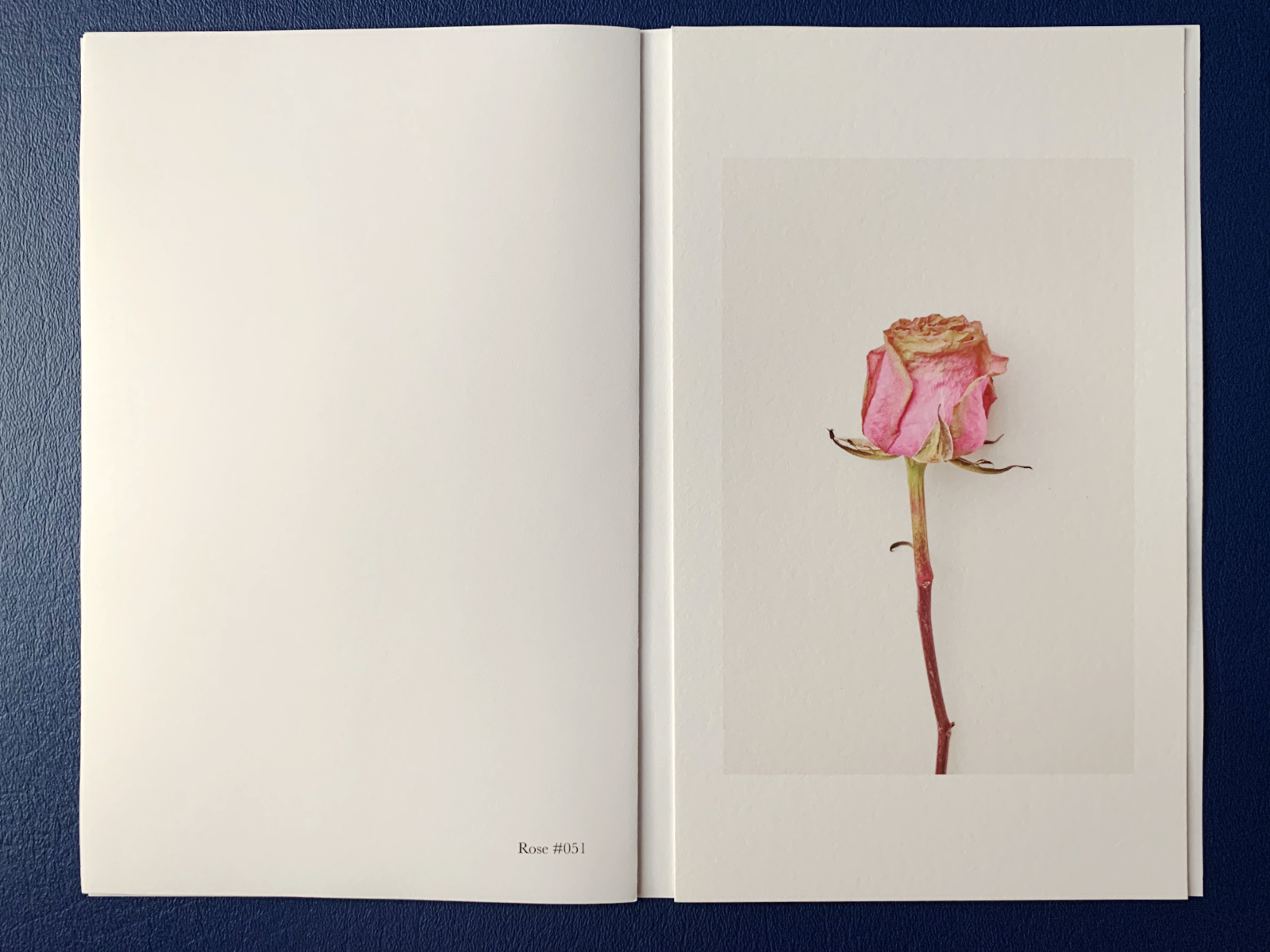 Spread showing a photograph of a rose and a page with a caption.