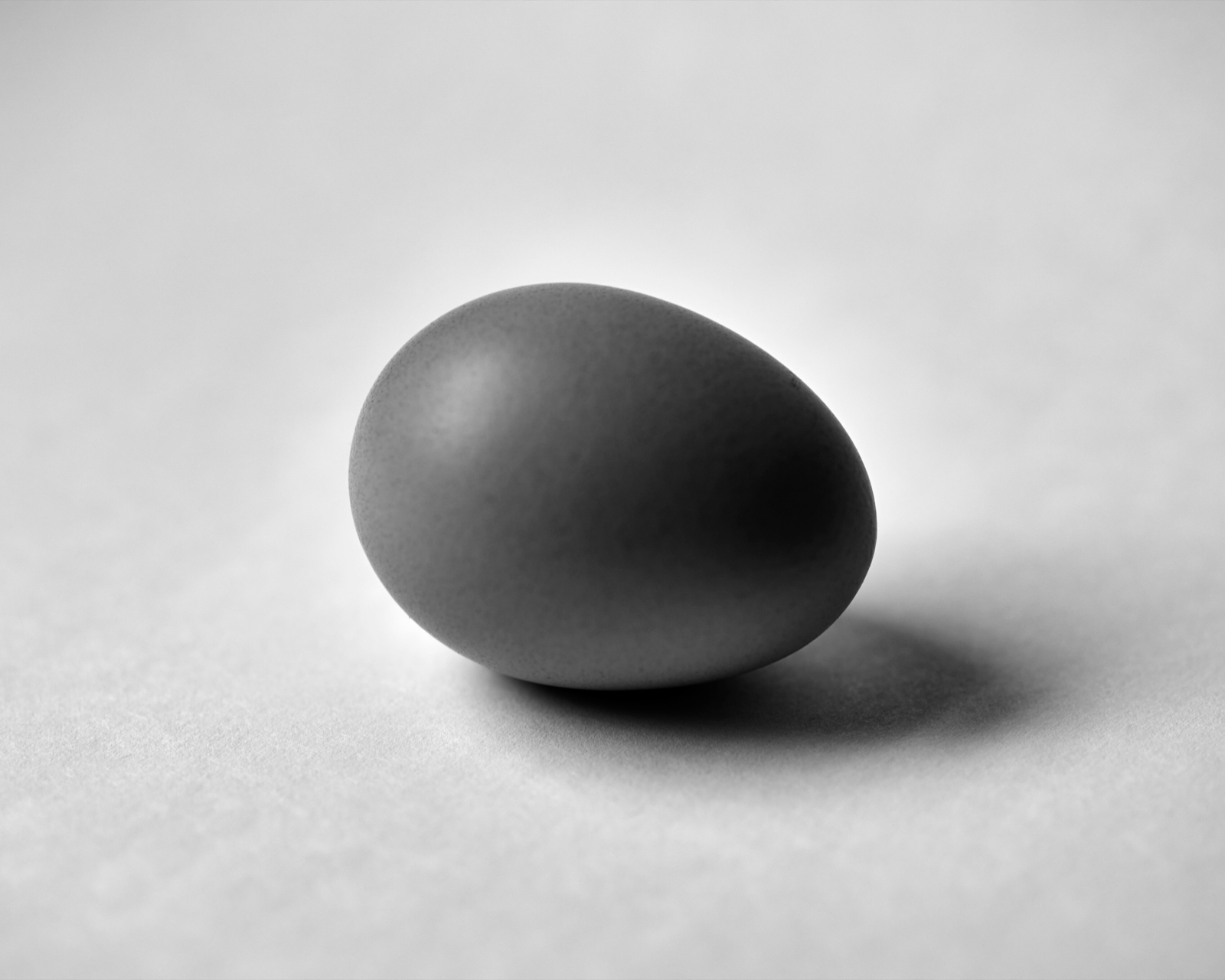 Still Life #220925.1: Black and white photograph of an egg on my office window sill.