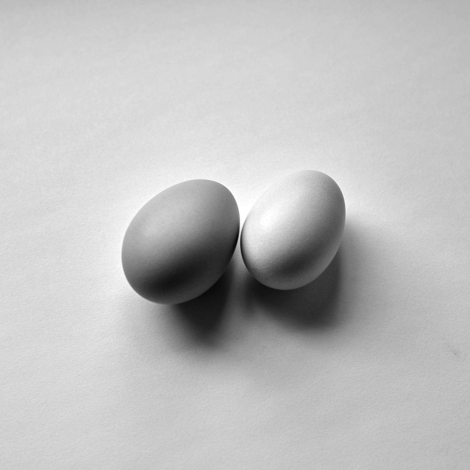 Stilllife #221106.1 is a black and white photograph of two eggs, slightly different shades.