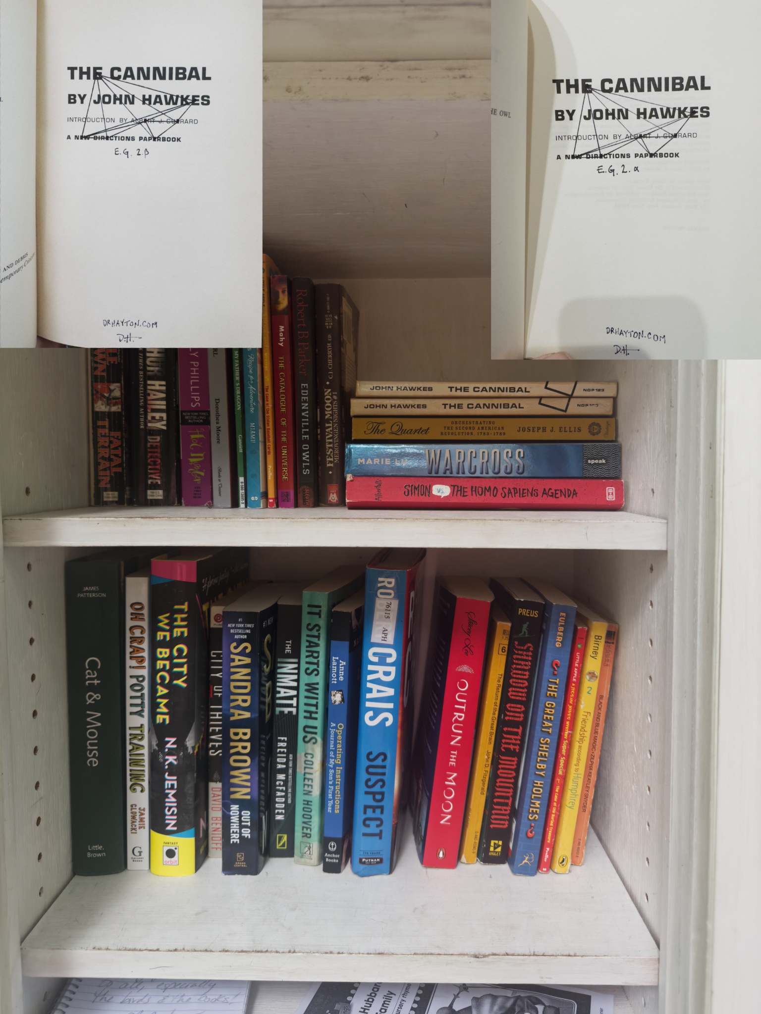 Photograph of a Little Free Library, with two copies of John Hawkes’s “The Cannibal”.