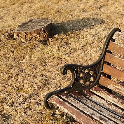 Notes on a Bench