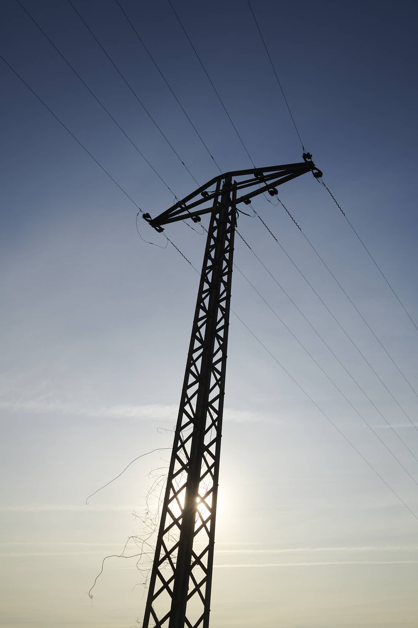 Urban #250222. A color photograph, mostly blue-ish, of a utility pole silhouetted against a setting sun.