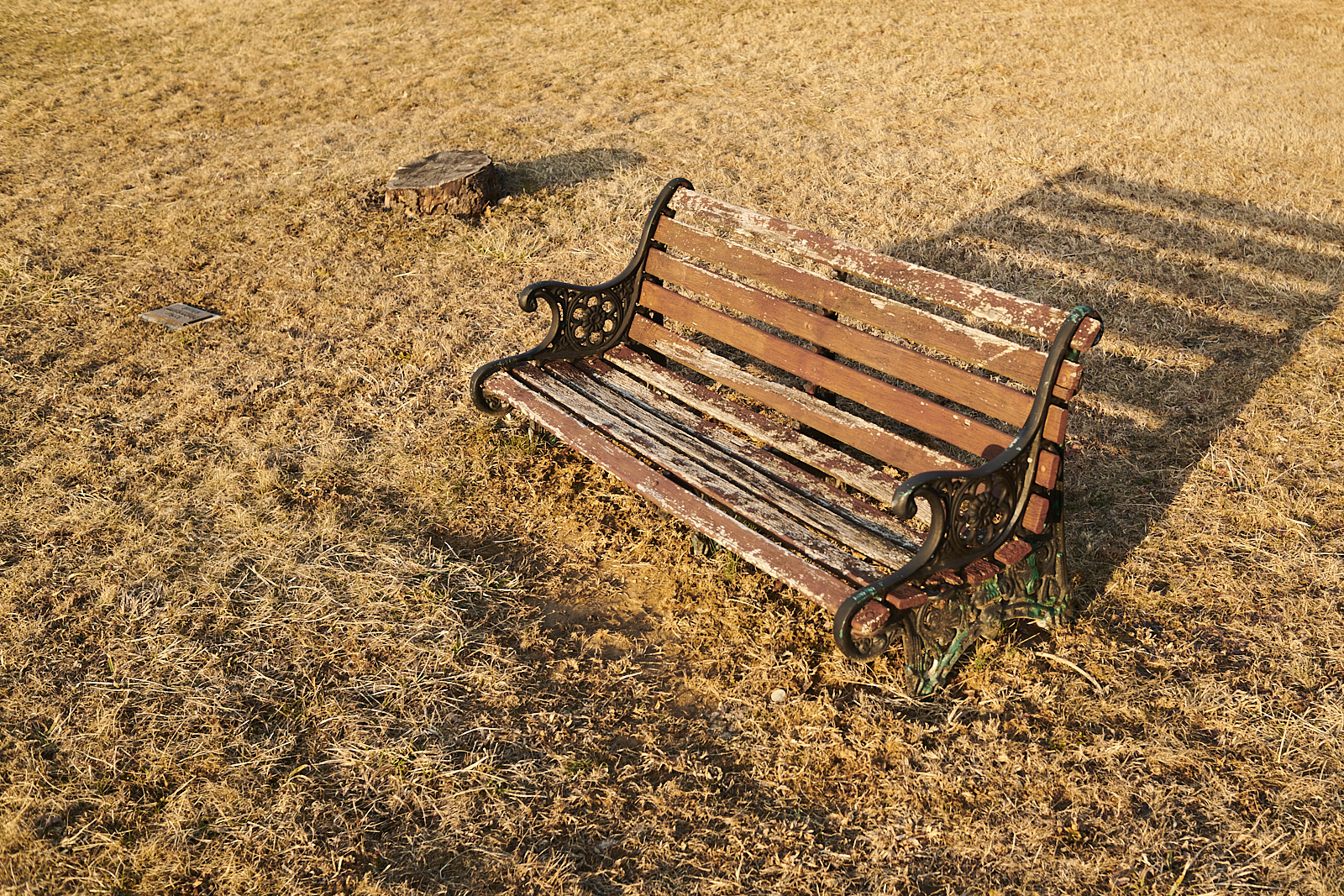Urban #25031418. A color photograph of a bench, a tree stump, and a memorial plaque sitting in a field of brown grass.